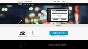 網(wǎng)站設計 從概念到用戶界面的藝術與科學